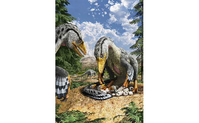 特別展 恐竜の卵 恐竜誕生に秘められた謎 Kodomoe コドモエ 親子時間 を楽しむ子育て情報が満載