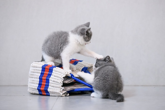 小6ママのゆる育児 子ども同士のトラブルどうすればいい？  kodomoe 