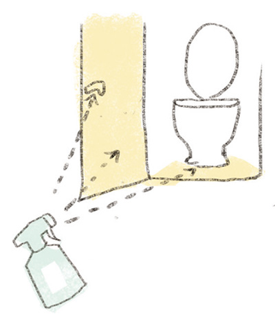 年末年始の「トイレ」掃除は念入りに。お掃除術で病気を防ぐ！の画像1