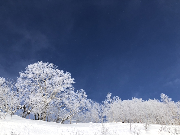 スキーに雪遊びに氷の街。「星野リゾート　トマム」に家族で行きたい5つの理由の画像20