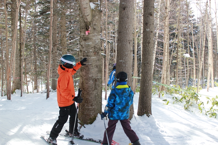 スキーに雪遊びに氷の街。「星野リゾート　トマム」に家族で行きたい5つの理由の画像10
