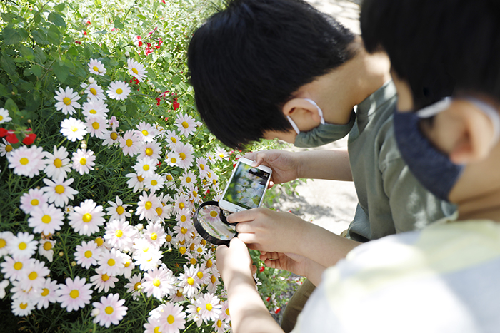 ルーペを使えば 花や虫で驚きの写真が撮れる ママカメラマンのスマホ写真術 19 Kodomoe コドモエ 親子時間 を楽しむ子育て情報が満載