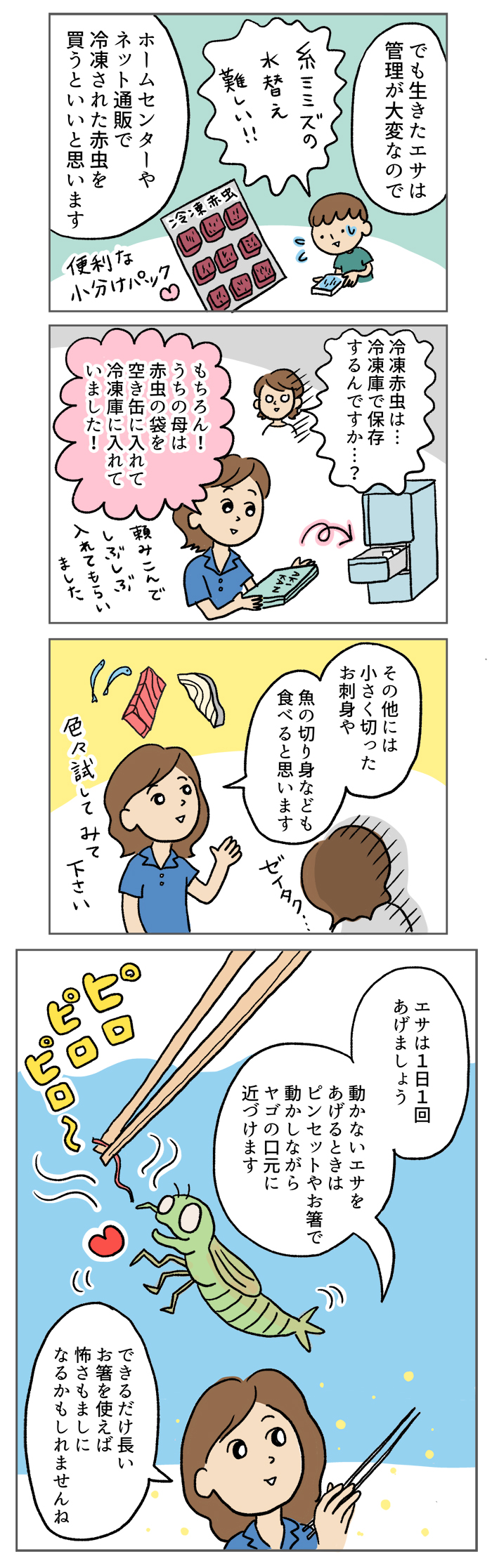 学校から持ち帰るヤゴ どうやって飼育したらいい マンガでわかる おっかなびっくり飼育 2 2ページ目 Kodomoe コドモエ 親子時間 を楽しむ子育て情報が満載