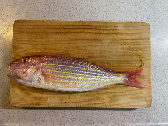 この魚は ヒントは 黄色いすじだよ 日々体験したことを心に残してほしい 我が家のごはん日記 かのうかおりさんちの食卓 1 Kodomoe コドモエ 親子時間 を楽しむ子育て情報が満載