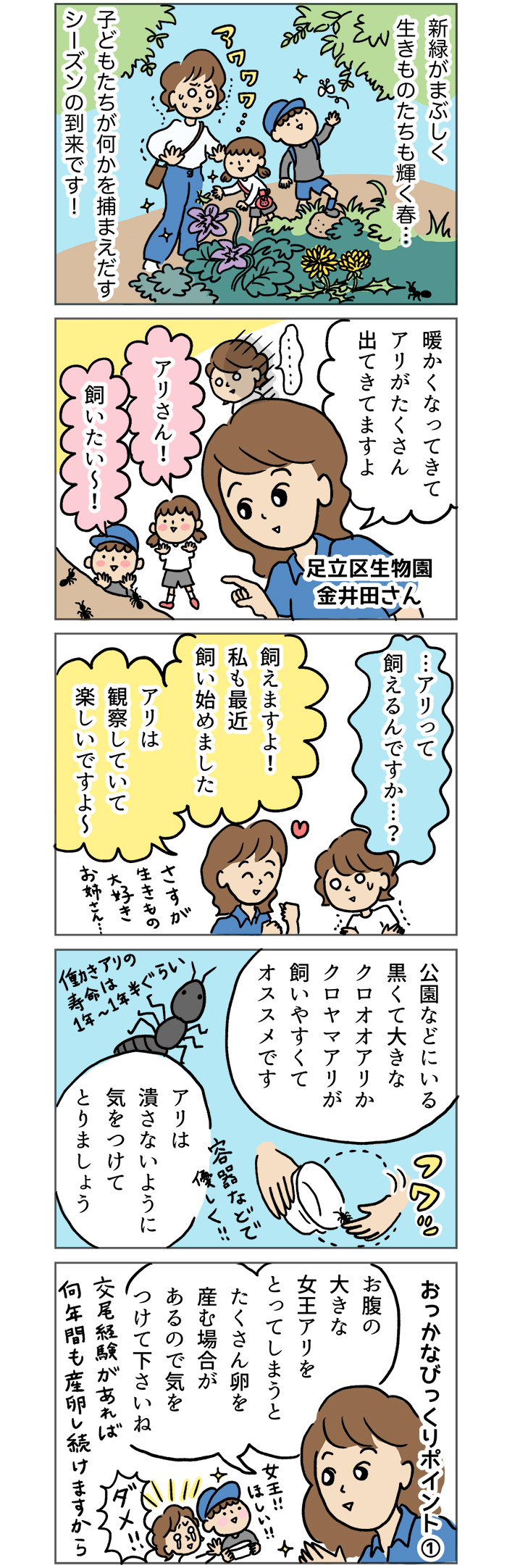 ほんとは怖いけど 子どもに アリさん飼いたい って言われても慌てない カンタン飼育法 マンガでわかる おっかなびっくり飼育 7 Kodomoe コドモエ 親子時間 を楽しむ子育て情報が満載