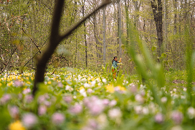 「ベアラオホ」を求めて、春を迎えたドイツの森へ【教えて！世界の子育て～ドイツ～】の画像1