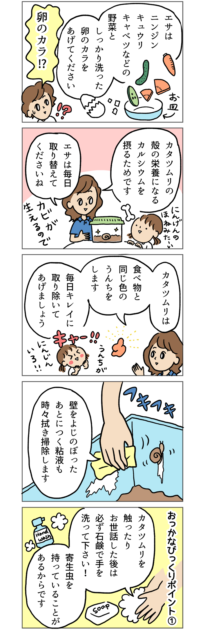 本音は ゲッ だけど カタツムリ飼いたい という子どもの気持ちを叶える飼育方法 マンガでわかる おっかなびっくり飼育 9 Kodomoe コドモエ 親子時間 を楽しむ子育て情報が満載