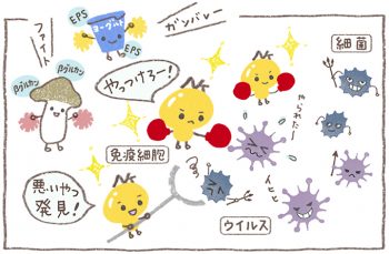 子どもたちの免疫力が危ない? 「自然免疫」をきたえよう | kodomoe(コドモエ)—「親子時間」を楽しむ子育て情報が満載!