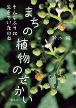 「一番身近な自然は子どもかもしれません」植物観察家・鈴木純さんとだいすけお兄さんが対談。【だいすけお兄さんのパパシュギョー！・本誌編】の画像6