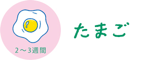 卵を殻ごと冷凍で、黄身ねっとりの「卵かけごはん」ができあがり！ おいしく冷凍＆おいしく食べる「冷凍テクニックの鉄則3か条」とは？【最新号からちょっと見せ】の画像1