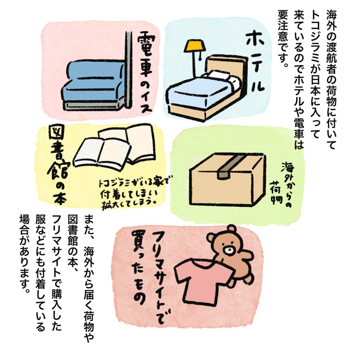 トコジラミの侵入経路に心当たりなし！ 大金払って、家中掃除したのに…何度でも侵入してくるって…【むすこと私のやんごとなき日常・53】の画像8