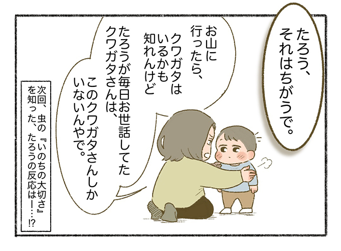 盛り上がる「祖父と息子（男たち）」、うんざりする母。クワガタとの一冬の思い出【まいにちてんてこまい・19】の画像10