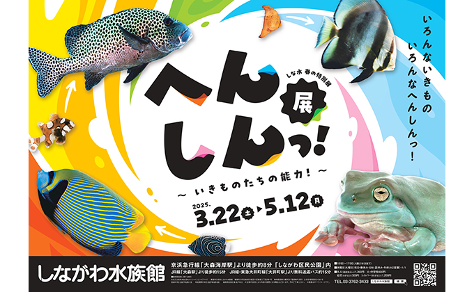 春休み～5月12日まで開催！ しながわ水族館へ生き物たちの