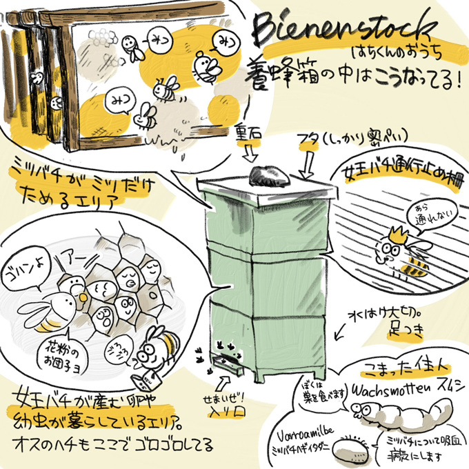 ドイツで子育てする中原さんの「ハニーハント」! 娘の誕生日プレゼントは「ハチミツの収穫」!?【教えて!世界の子育て~ドイツ~】の画像4