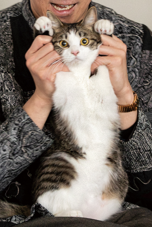 ロングコートダディ堂前 透さんの日々を覗き見! 毎日楽しいねことの生活【最新号からちょっと見せ・担当編集のヒトコト】の画像2