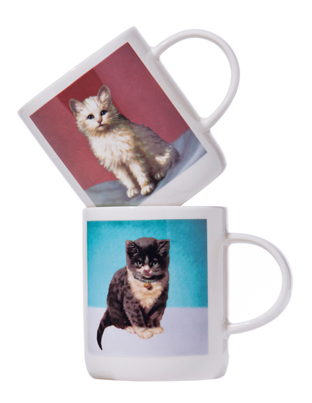 ねこと一緒に家事を楽しく♪ ふきん・ポット・スポンジなど、ねこのキッチングッズをご紹介【最新号からちょっと見せ・編集者のヒトコト】の画像4