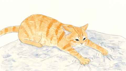 「毛布をずっとふみふみ、もみもみ」「おしりをぐいぐい近づけてくるのはなぜ？」ねこの気持ちが知りたい！【最新号からちょっと見せ】の画像2