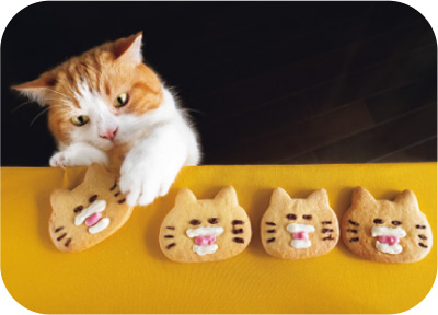 見るだけで幸せになれる「SNSで人気のねこ」大集合!【最新号からちょっと見せ】の画像6