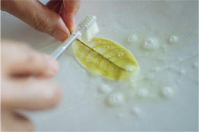 夏休みの宿題にも◎ 葉っぱで作る「葉脈標本」が満足度120％！【最新号からちょっと見せ】の画像5