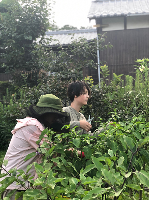 岐阜県美濃市で夏休み。旅先でも、美味しいものを作って食べることが、日々の暮らしの充足度につながる【タベコト in Berlin・106】の画像3