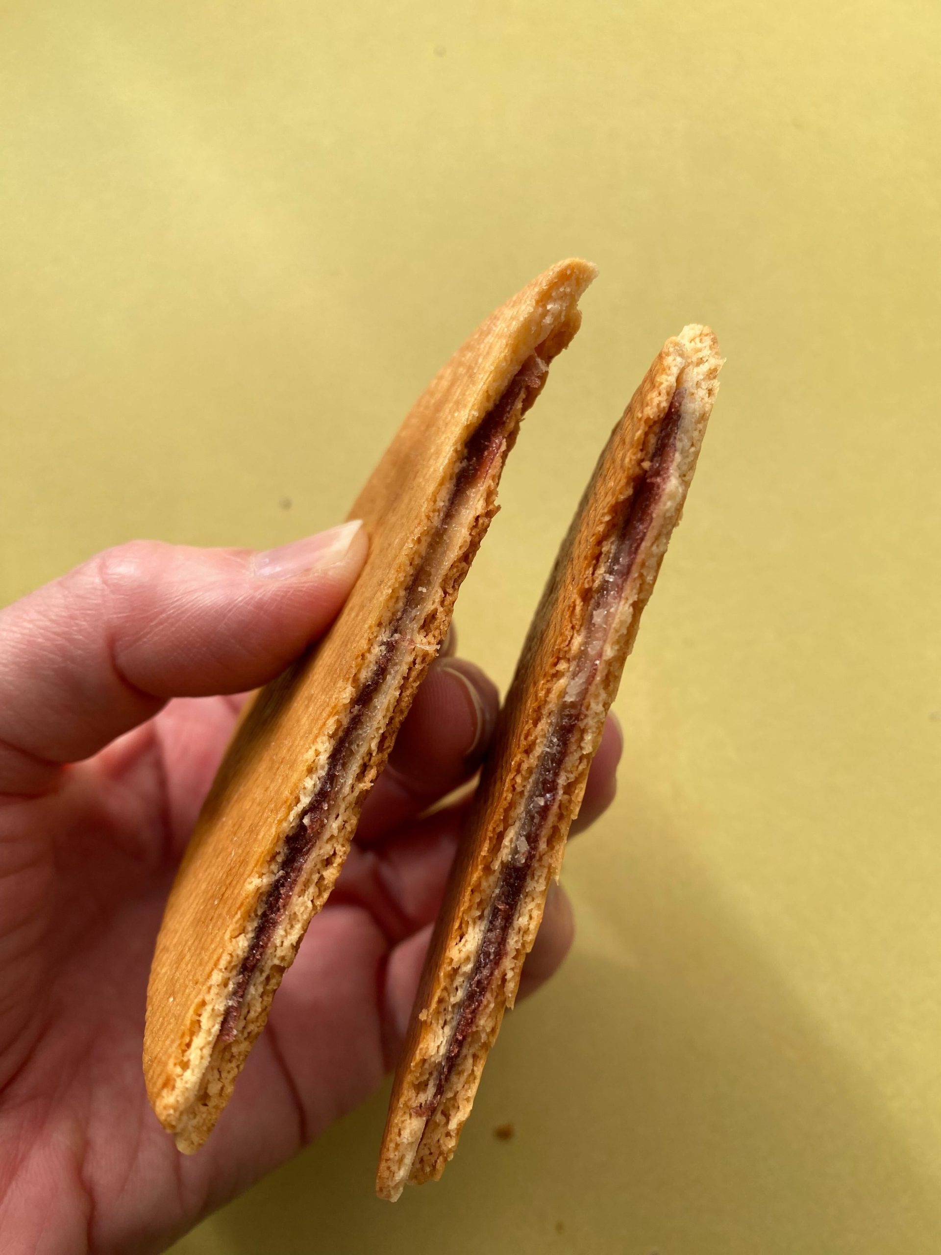 【ご当地おやつ】「佐賀のおやつ」のレベルが高い! 出張帰りのスタッフ土産をご紹介♪【編集部スタッフイチオシ】の画像1