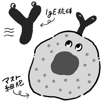 【子どものアレルギー】実は空気中にはアレルギーの原因物質がいっぱい漂っている!? アレルギー予防は毎日のスキンケアからの画像5