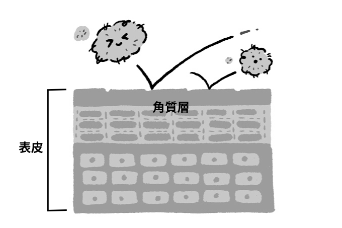 【子どものアレルギー】実は空気中にはアレルギーの原因物質がいっぱい漂っている!? アレルギー予防は毎日のスキンケアからの画像2