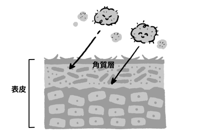 【子どものアレルギー】実は空気中にはアレルギーの原因物質がいっぱい漂っている!? アレルギー予防は毎日のスキンケアからの画像3