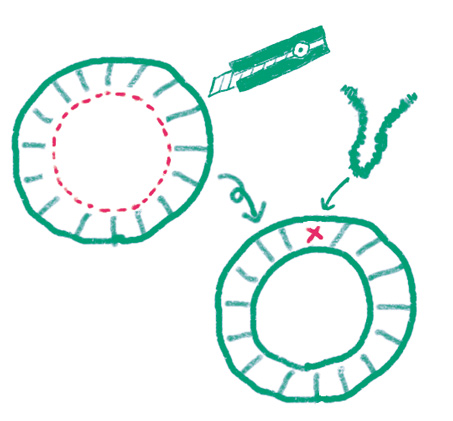 【春の工作】プレゼントにも◎ 指先を使うあそびがたっぷり楽しめる「春を楽しむリース」の作り方の画像2