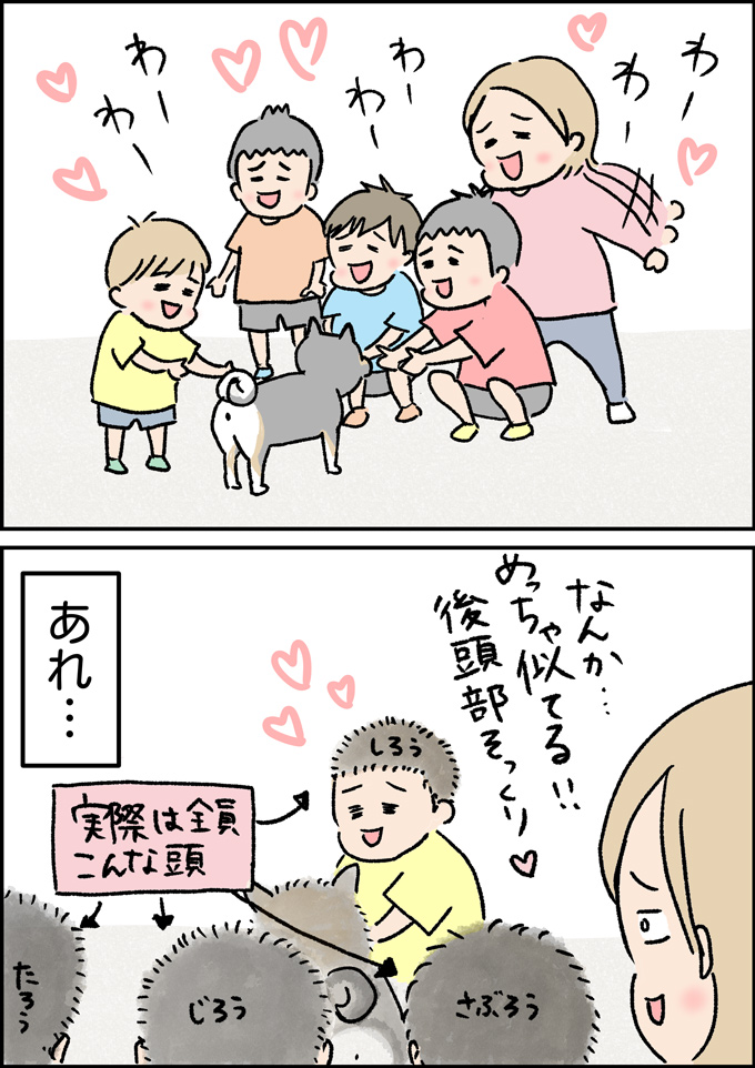 出会いは突然だった。ヤゴのエサを買いに行ったホームセンターで急展開!【うちの男子(だんご)4兄弟・41】の画像3