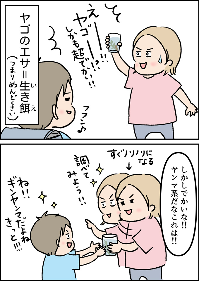 ヤゴを捕まえてきた虫好きっ子と一緒にホームセンターへ。そして突然の出会い!!【うちの男子（だんご）4兄弟・40】の画像2