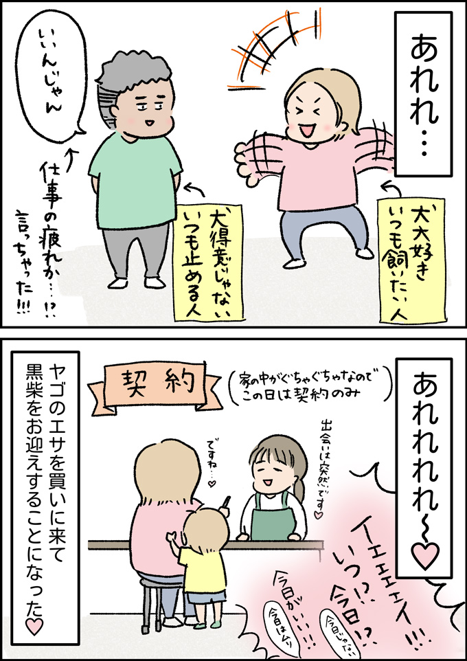 出会いは突然だった。ヤゴのエサを買いに行ったホームセンターで急展開!【うちの男子(だんご)4兄弟・41】の画像4
