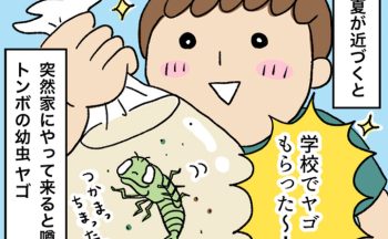 【ヤゴの飼育どうする？】学校のプール清掃で、子どもがヤゴを持ち帰ってきた!?　虫苦手ママに贈る、おっかなびっくり飼育法