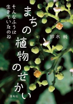 【植物の世界が身近に】親子で一緒に楽しむ「発見や驚きに出会える図鑑」絵本5選の画像4