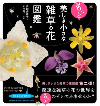 【植物の世界が身近に】親子で一緒に楽しむ「発見や驚きに出会える図鑑」絵本5選の画像3