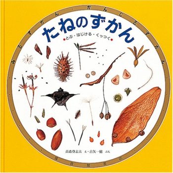 【植物の世界が身近に】親子で一緒に楽しむ「発見や驚きに出会える図鑑」絵本5選の画像1