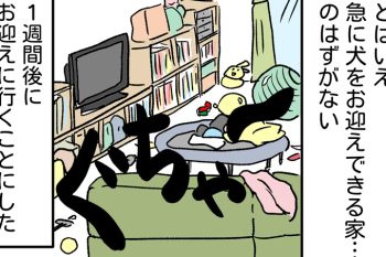我が家に新しい家族ができました。とはいえ家は…【うちの男子（だんご）4兄弟・42】
