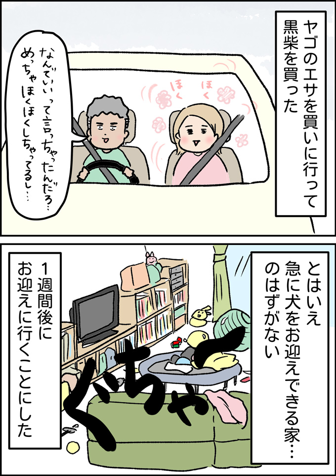 我が家に新しい家族ができました。とはいえ家は…【うちの男子(だんご)4兄弟・42】の画像1