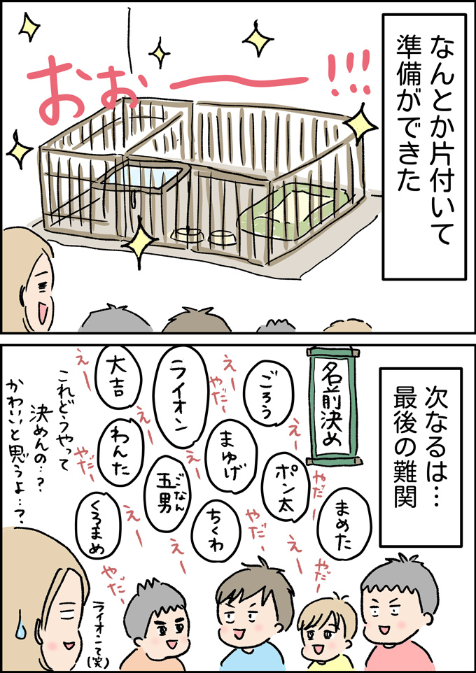 我が家に新しい家族ができました。とはいえ家は…【うちの男子(だんご)4兄弟・42】の画像3
