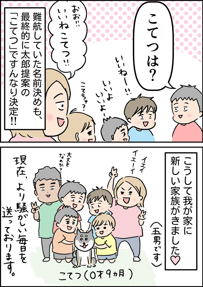 我が家に新しい家族ができました。とはいえ家は…【うちの男子(だんご)4兄弟・42】の画像4