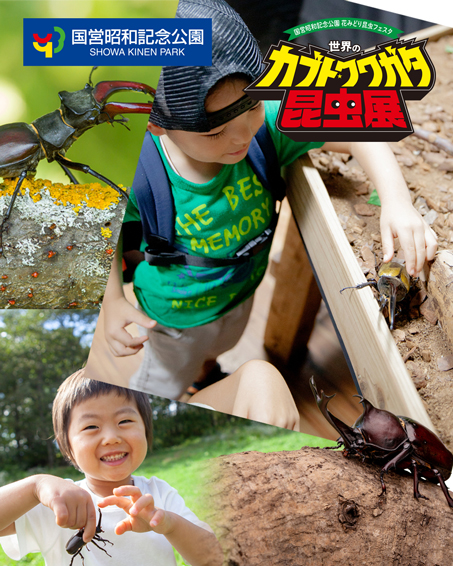 【夏休みは親子で昆虫の世界へ！】昭和記念公園で開催中！「世界のカブト・クワガタ昆虫展」の画像2