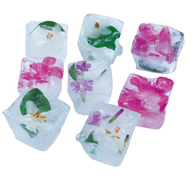 【氷の中に花を閉じ込めて♪】「花氷」を作ろう！ 花や葉っぱを入れて凍らせればできあがりの画像3