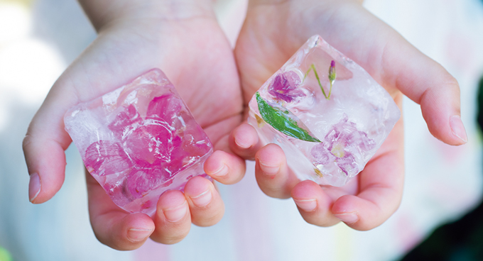 【氷の中に花を閉じ込めて♪】「花氷」を作ろう！ 花や葉っぱを入れて凍らせればできあがりの画像1