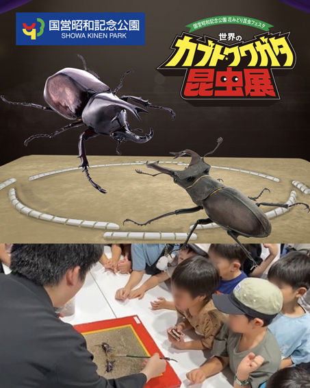 【夏休みは親子で昆虫の世界へ！】昭和記念公園で開催中！「世界のカブト・クワガタ昆虫展」の画像6