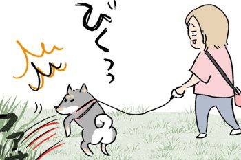 ビビり？うちの男子5人目が、わが家の一員になった瞬間【うちの男子（だんご）4兄弟・44】
