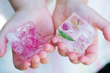 【氷の中に花を閉じ込めて♪】「花氷」を作ろう! 花や葉っぱを入れて凍らせればできあがり