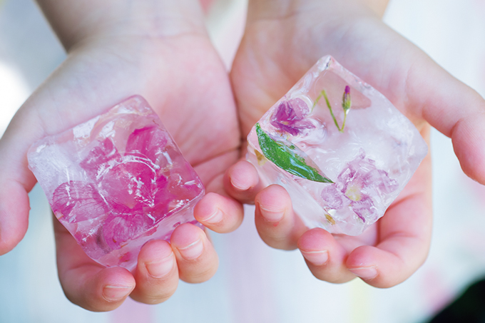 【氷の中に花を閉じ込めて♪】「花氷」を作ろう！ 花や葉っぱを入れて凍らせればできあがり