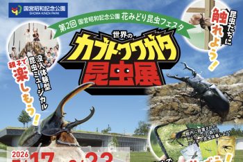 【夏休みは親子で昆虫の世界へ！】昭和記念公園で開催中！「世界のカブト・クワガタ昆虫展」