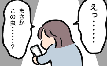 トコジラミの恐怖。我が家に起きた恐ろしい日々の話【我が家に害虫〇〇がやってきた!!・1～5話】